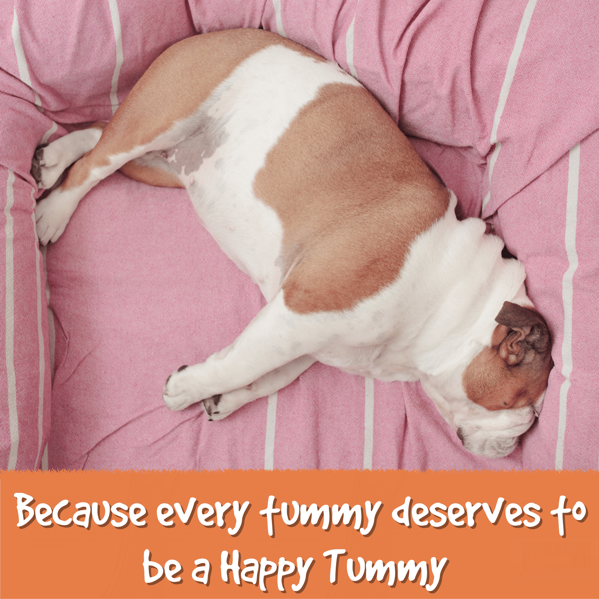 Tummy Powder