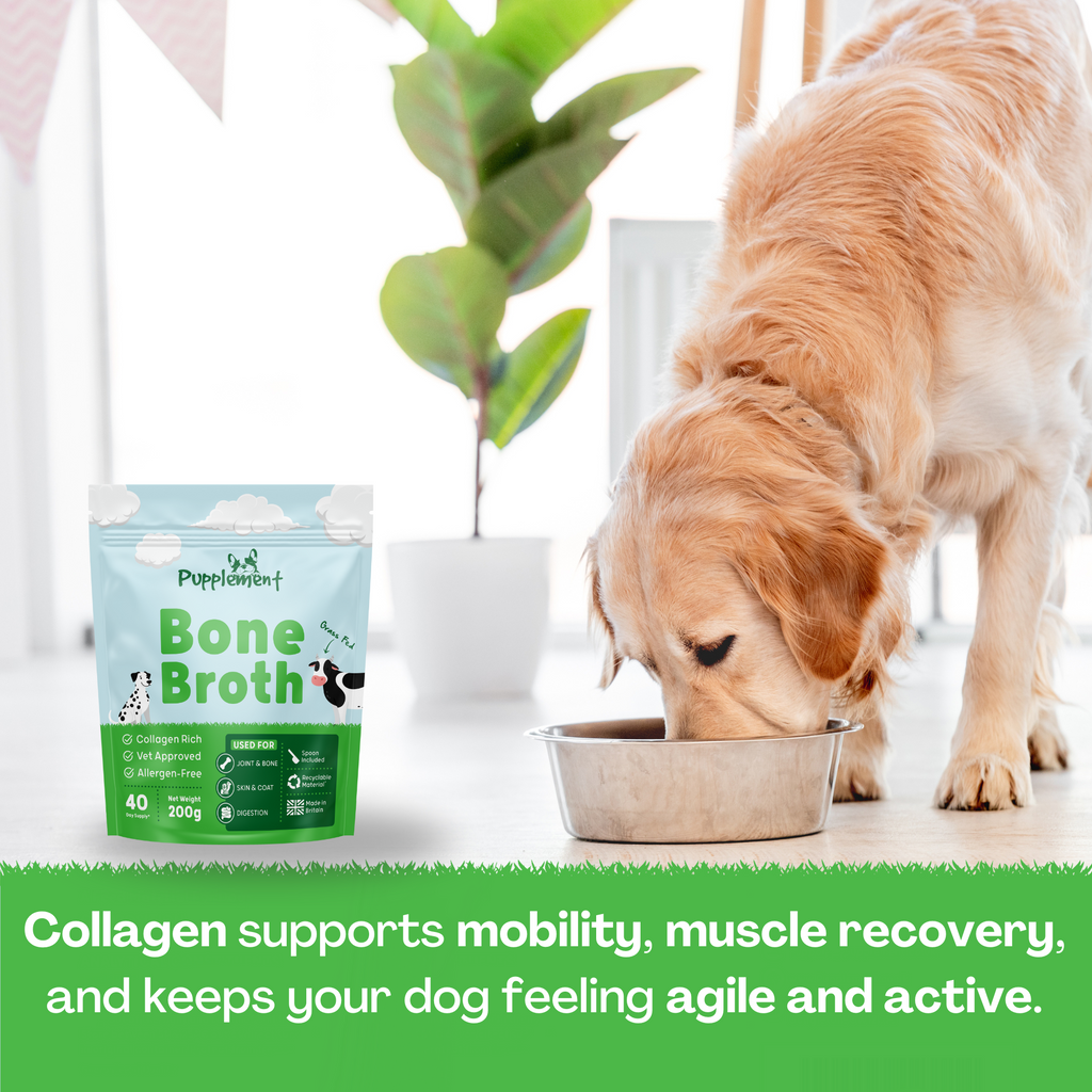 Beef Bone Broth